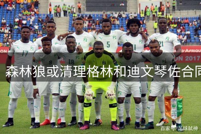 森林狼或清理格林和迪文琴佐合同以追求库明加