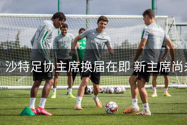 沙特足协主席换届在即 新主席尚未表态支持因凡蒂诺
