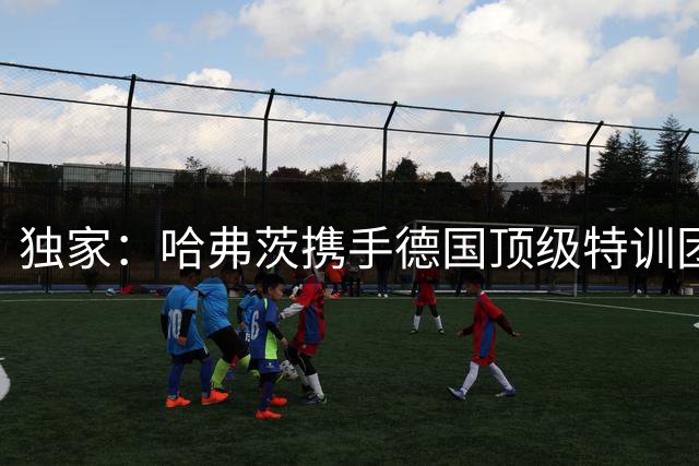 独家：哈弗茨携手德国顶级特训团队 枪手锋霸季前备战细节曝光