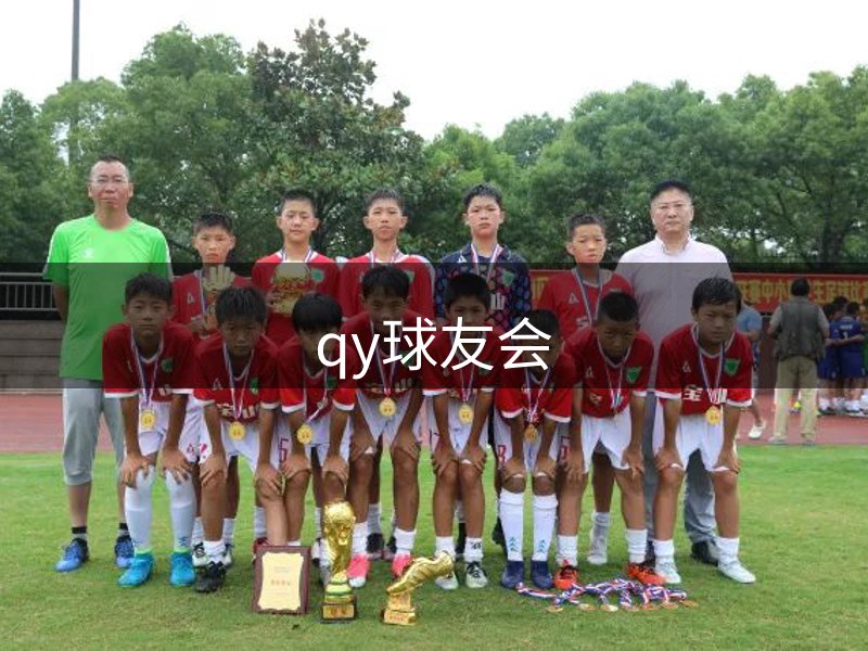 网站概况